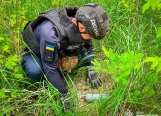 На Чернігівщині сапери ДСНС знешкодили майже 1700 вибухонебезпечних предметів від початку року