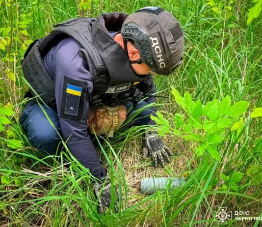 На Чернігівщині сапери ДСНС знешкодили майже 1700 вибухонебезпечних предметів від початку року