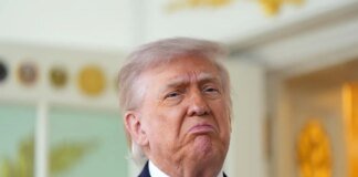 Трамп підписав указ про достроковий доступ уряду США до нових моделей ШІ