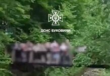 На Буковині під групою дітей обвалився міст під час екскурсії, є постраждалі