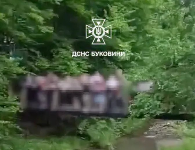 На Буковині під групою дітей обвалився міст під час екскурсії, є постраждалі
