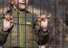 Боснія і Герцеговина стала 50-м учасником коаліції за повернення українських дітей — МЗС