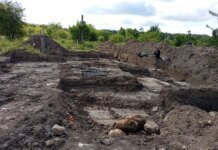 На Львівщині завершили українсько-польські пошукові роботи, виявили ознаки поховань