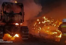 За добу в Україні на тлі спеки сталося 220 природних пожеж