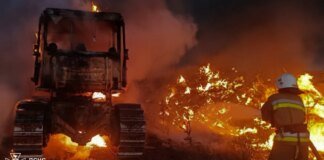 За добу в Україні на тлі спеки сталося 220 природних пожеж