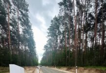 На Чернігівщині завершили капітальний ремонт лісової дороги протяжністю майже 3 км