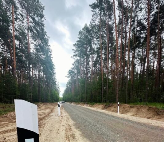 На Чернігівщині завершили капітальний ремонт лісової дороги протяжністю майже 3 км