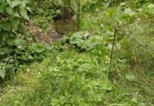 46 карасів і понад 72 тисячі гривень збитків: на Чернігівщині спіймали браконьєра