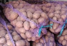 Жителька Березни передала тонну картоплі для Чернігівської центральної районної лікарні
