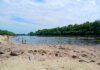 Чи безпечна вода на пляжі у Чернігові – результати перевірки