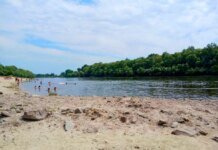 Чи безпечна вода на пляжі у Чернігові – результати перевірки