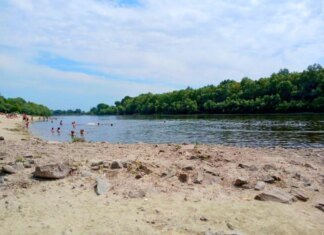 Чи безпечна вода на пляжі у Чернігові – результати перевірки