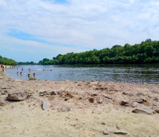 Чи безпечна вода на пляжі у Чернігові – результати перевірки
