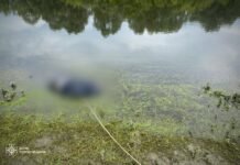 Рятувальники виявили тіло чоловіка, який зник на річці Сейм на Чернігівщині