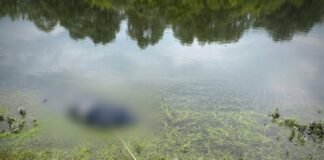 Рятувальники виявили тіло чоловіка, який зник на річці Сейм на Чернігівщині