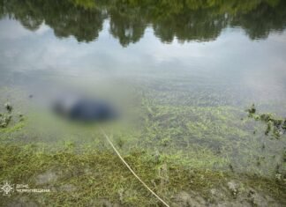 Рятувальники виявили тіло чоловіка, який зник на річці Сейм на Чернігівщині