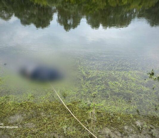 Рятувальники виявили тіло чоловіка, який зник на річці Сейм на Чернігівщині