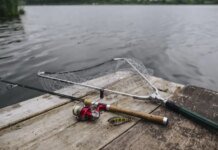 Щука від 50 см, судак — від 42: рибалкам Чернігівщини нагадали норми вилову