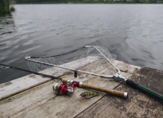 Щука від 50 см, судак — від 42: рибалкам Чернігівщини нагадали норми вилову