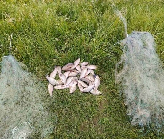 Браконьєру з Чернігівщини за 35 сріблястих карасів доведеться заплатити понад 55 тисяч гривень