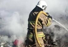Горіло гніздо, сміття, житловий сектор: на Чернігівщині сталося 12 пожеж