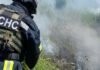 На Чернігівщині вигоріло майже 1200 гектарів сухостою