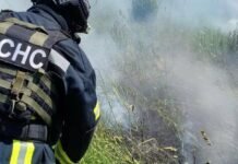 На Чернігівщині вигоріло майже 1200 гектарів сухостою