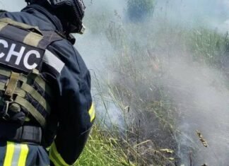 На Чернігівщині вигоріло майже 1200 гектарів сухостою