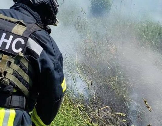 На Чернігівщині вигоріло майже 1200 гектарів сухостою