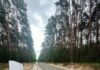 У Горбачівському лісництві на Чернігівщині відремонтували дорогу, яку почали будувати ще до реформи