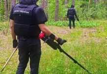 На Чернігівщині за добу виявили майже 10 вибухонебезпечних предметів