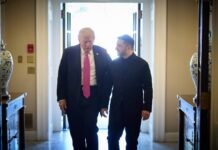 Никогда не собирался способствовать победе: действия Трампа помогли приблизить конец войны в Украине, — The Telegraph