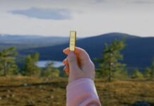 Охота на полуночное солнце: в Финляндии стартуют поиски золотого слитка