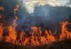 На Чернігівщині внаслідок бойових дій сталося 13 пожеж