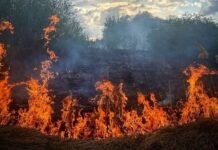 На Чернігівщині внаслідок бойових дій сталося 13 пожеж