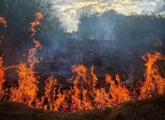 На Чернігівщині внаслідок бойових дій сталося 13 пожеж