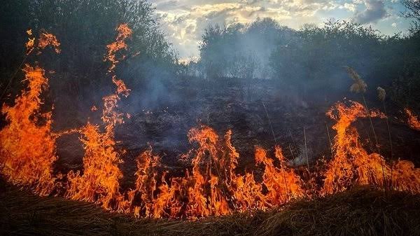 На Чернігівщині внаслідок бойових дій сталося 13 пожеж
