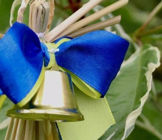 Чернігівщина втратила 28 дітей від початку повномасштабної війни