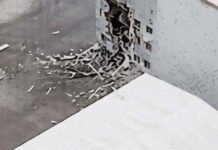 Ворожий БпЛА пошкодив сховище ядерного палива поблизу ЧАЕС