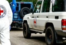 В Україну повернули тіла 522 загиблих: у МВС проведуть ідентифікацію