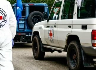 В Україну повернули тіла 522 загиблих: у МВС проведуть ідентифікацію