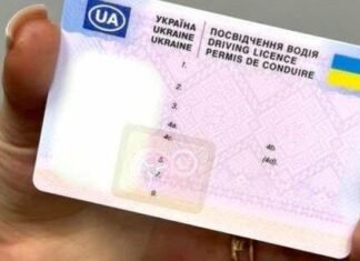 Втрата водійських документів через російські атаки: що робити і як відновити документи безкоштовно