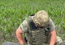 Три російські безпілотники з нерозірваними боєприпасами знайшли на Чернігівщині