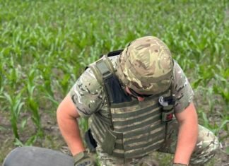 Три російські безпілотники з нерозірваними боєприпасами знайшли на Чернігівщині