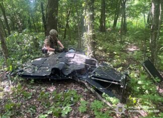 Впав у лісосмузі: у Чернігівському районі знайшли російський БпЛА, збитий Силами оборони
