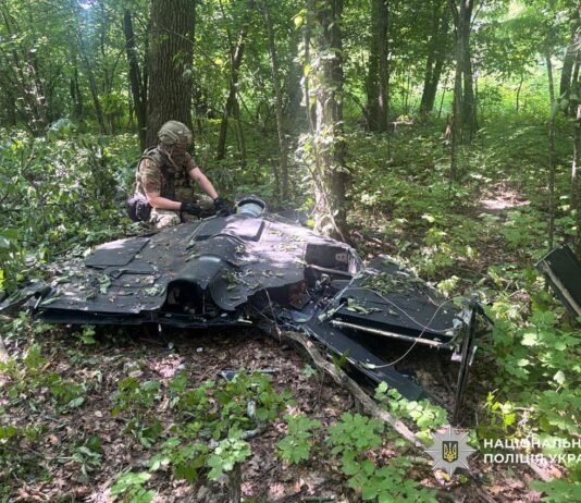 Впав у лісосмузі: у Чернігівському районі знайшли російський БпЛА, збитий Силами оборони