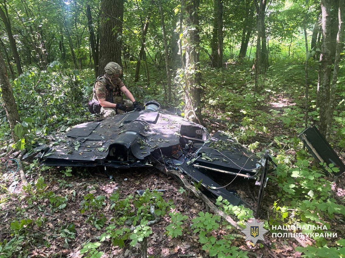Впав у лісосмузі: у Чернігівському районі знайшли російський БпЛА, збитий Силами оборони