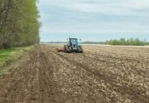 Кукурудза — лідер: аграрії Чернігівщини засіяли понад 1 млн гектарів ярих культур