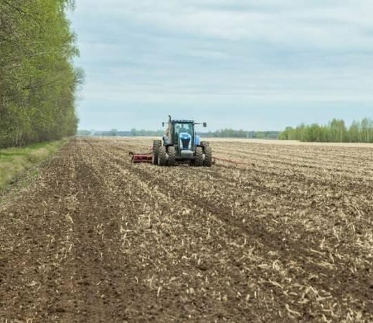Кукурудза — лідер: аграрії Чернігівщини засіяли понад 1 млн гектарів ярих культур