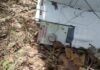 На Чернігівщині електромонтер натрапив у лісі на російський дрон із позначкою радіаційної небезпеки